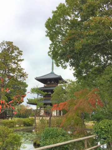 Hokiji Temple garden and tower